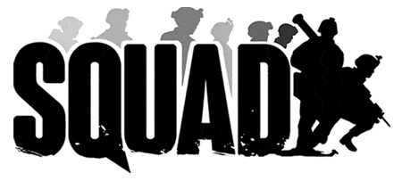 Manual Fixes To Resolve Squad Game Issues